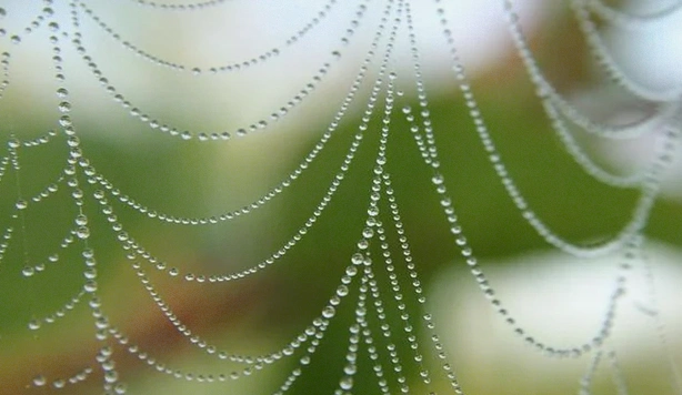 奔赴目标的30条励志语录：不忘初心，方得始终